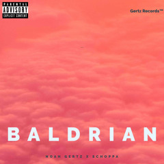 Baldrian (feat. Schoppa)