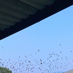 все сильнее