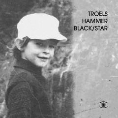 Troels Hammer feat. Reinhard Vanbergen - Black/Star - s0427