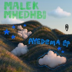 MBR591 - Malek Mhedhbi - Harrissatou