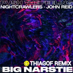 Nightcrawlers, John Reid - Push The Feeling Ft. Big Narstie (ThiagoF Remix)