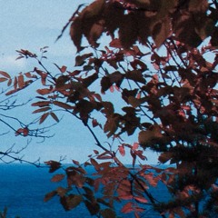 Outchea Mind (Prod. Sapjer)