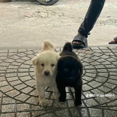 NONSTOP VOL 13 ĐẮNG MÔI REMIX  - MIXSET 24 HIT IN 1