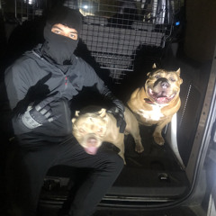 BMac - Bandos (2019)