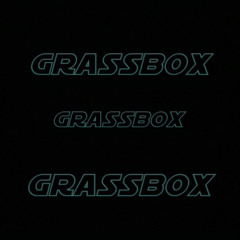 (Grassbox Live Techno Edit )(174BPM) - Glücksgefühle