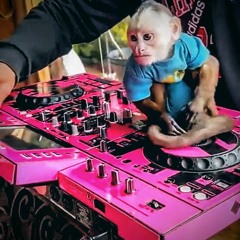 ¡“🙊🙉🙈”!privatizados con Dj randall🔐🍓