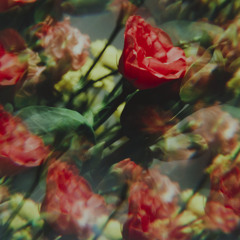 The Sun (feat. Oh Wonder)