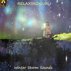 Winter Storm Sounds with Blowing Snow and Howling Wind to Sleep, Study, Relax - LOOP
