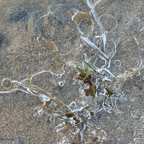 "Love is a word" (machines can say too)