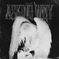 Asking Why