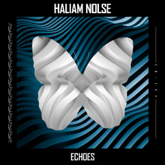Haliam Nolse - Echoes (Original Mix)