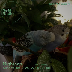 Nightcap w/ mnnsch - 9th March 2025