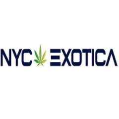 Rolling Through the Bronx: Insider Secrets for Weed Dispensary Success