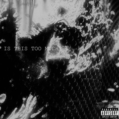 4Scythe - IS THIS TOO MUCH?