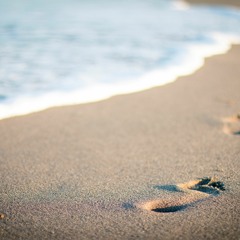 Shoreline