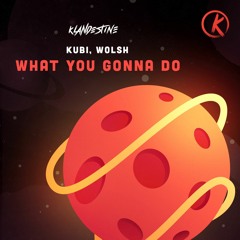 Kubi , Wolsh - What You Gonna Do