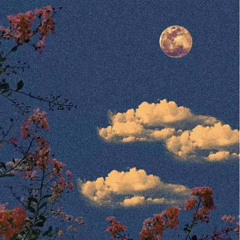 Cameras (Feat. ZARI)