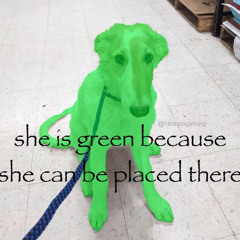 im tobycoring everywhere