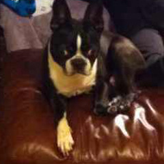 090224 mix - tiny tourney 5