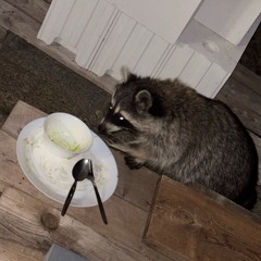 Morten Combat - Rec. 01