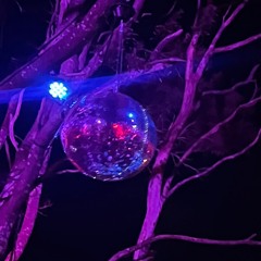 Matakanarama 2025 | Kawakawa Stage | 11-12:30am