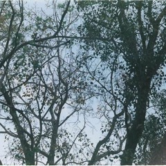 dreamy - demo