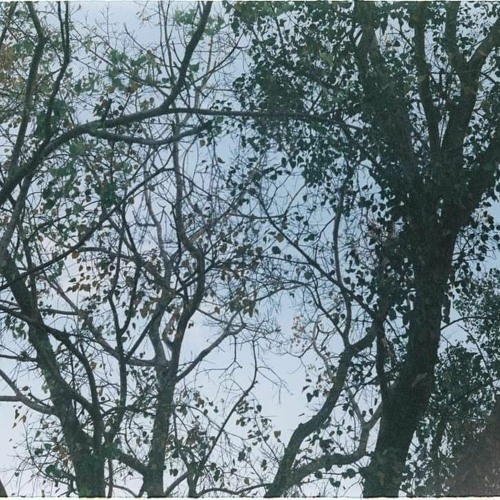 dreamy - demo