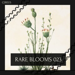 Cereus - Rare Blooms 023