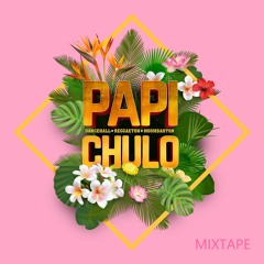 Papi Chulo Mixtape
