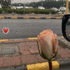 جاي الشتي - مسلم