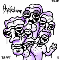 BLK&WHT -Mr. Brown (Original Mix)
