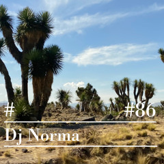 RIOTVAN RADIO #86 | Dj Norma