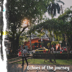 Echoes of the Journey: Vol I