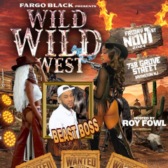 WILD WILD WEST