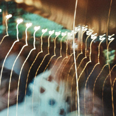 the part that is primal