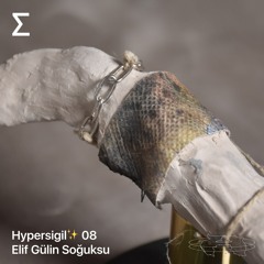 Hypersigil✨ 08 – Elif Gülin Soğuksu