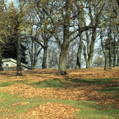 Grīziņkalnā pēc incidentiem pret pusaudžiem "Ghetto Games" pastiprinās apsardzi