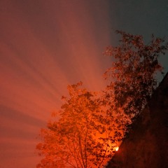 ohmydais b2b tim reaper