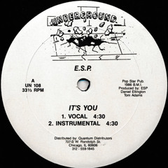 E.S.P. - It's You (Vocal)