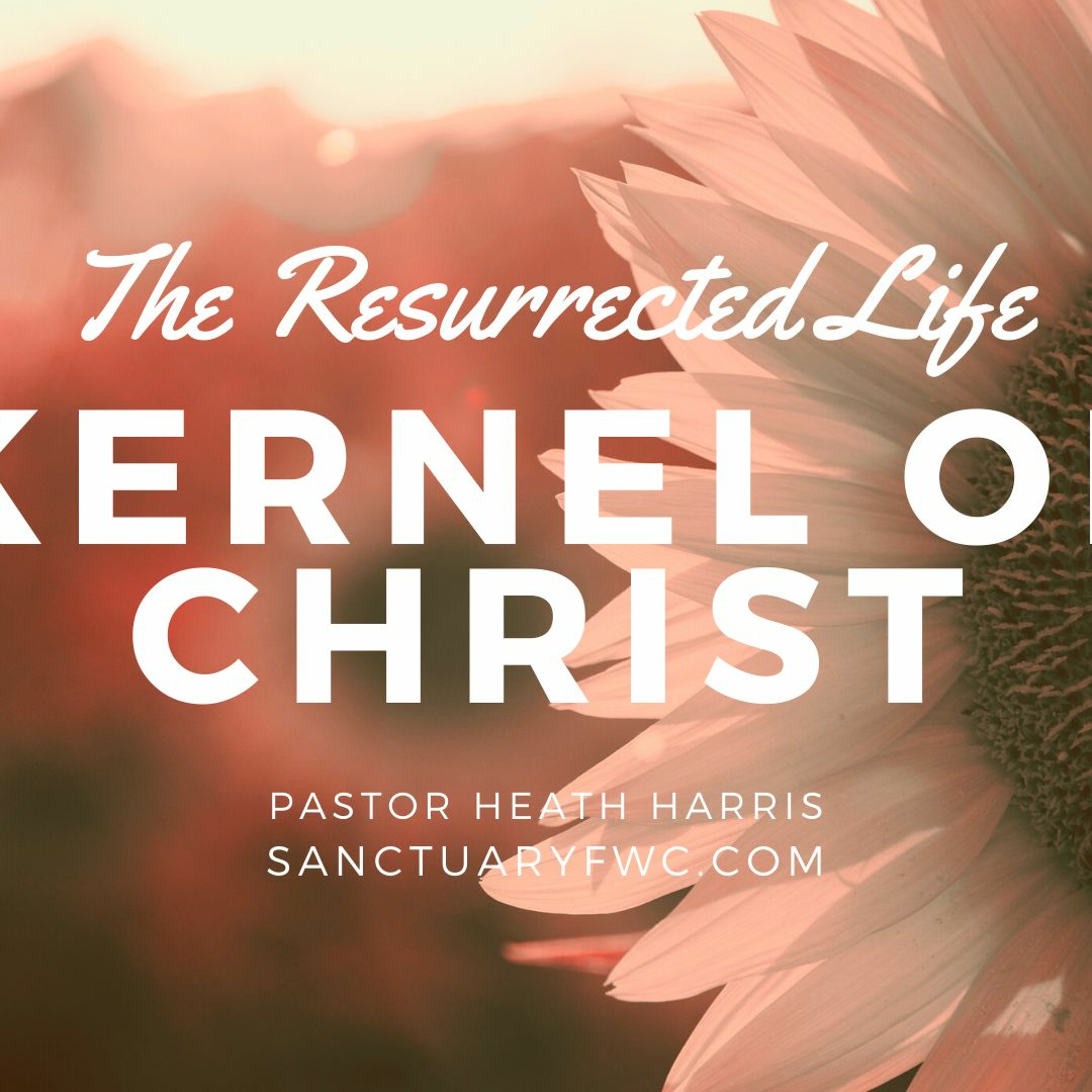 Heath Harris Sermon Podcast