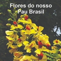 24.02.2022 - Cap. X - Bem Aventurados os Misericordiosos - Reconciliar-se com os Adversários (3)