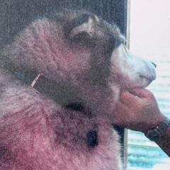 i love (aesir)