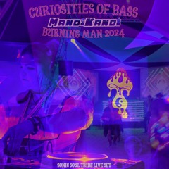 Curiosities of Bass - Sonic Soul Tribe Burning Man LIVE set 2024