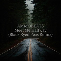 AMMOBEATS - Meet Me Halfway (Black Eyed Peas Techno Remix // 130bpm)