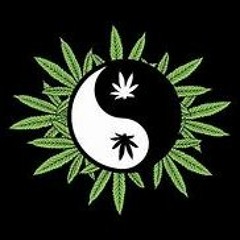 Ying & Yang Summer House Mix 2024