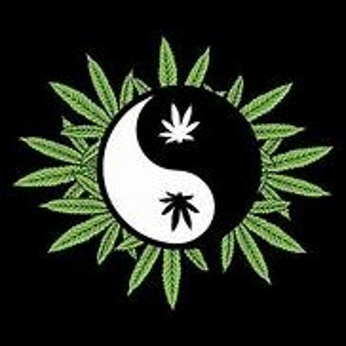 Ying & Yang Summer House Mix 2024