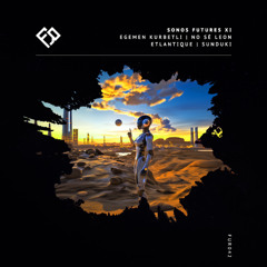 Egemen Kurbetli - Flux | Future Romance