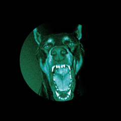 PERRO NEGRO - [pérez, OTTO Edit] [FREE DL]