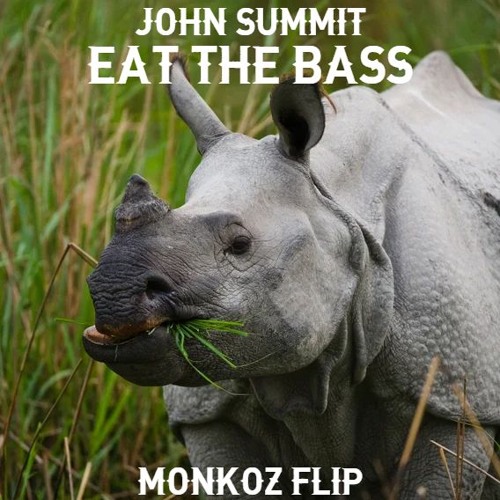 JOHN SUMMIT - EAT THE BASS (Monkoz Flip)