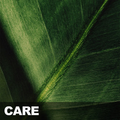 (FREE) | "Care" | Rema x Tems x Tiwa Savage Type Beat | Free Beat | Afrobeat Instrumental 2025